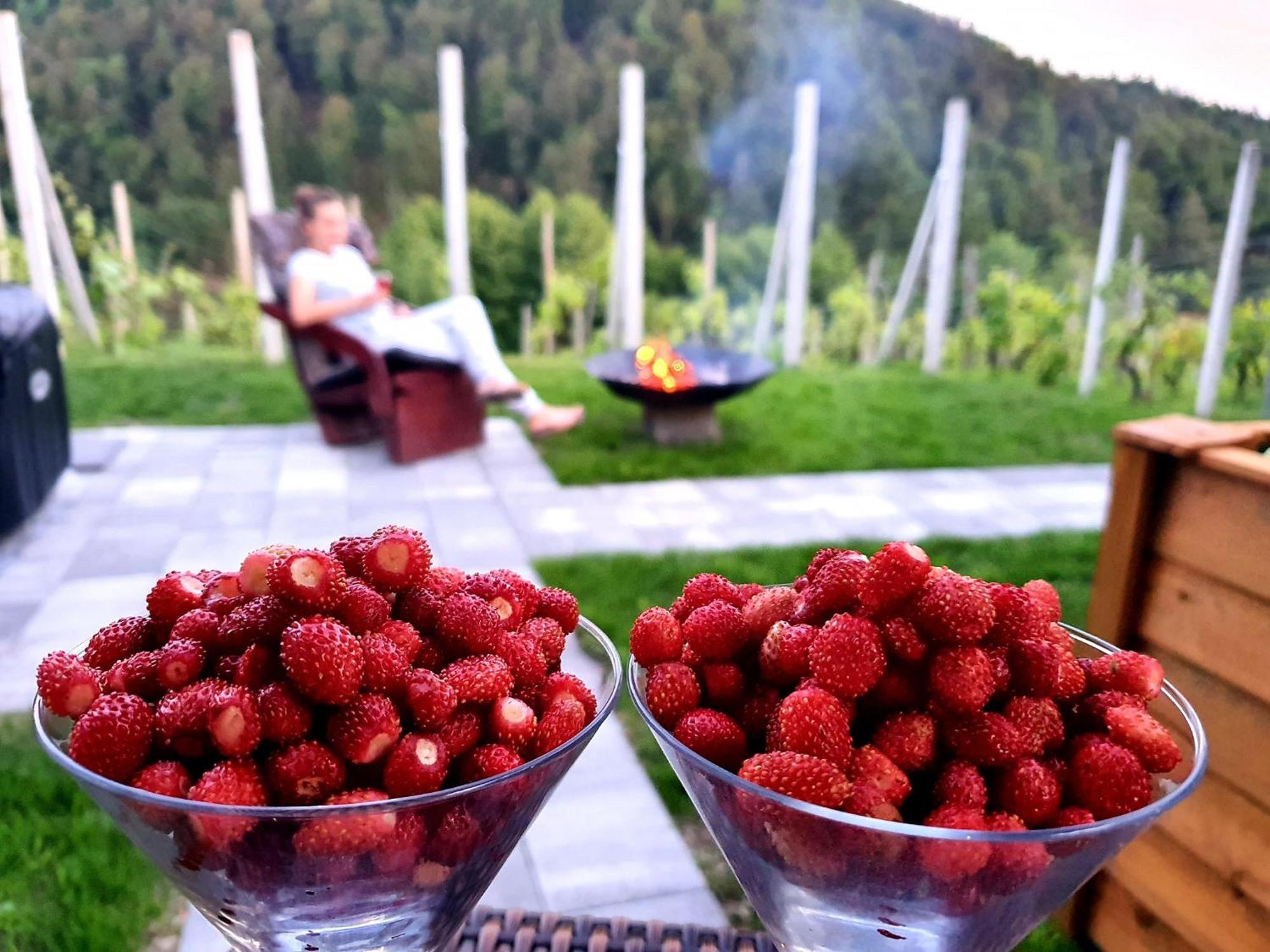 Vineyard Cottage Matej Trebnje ภายนอก รูปภาพ
