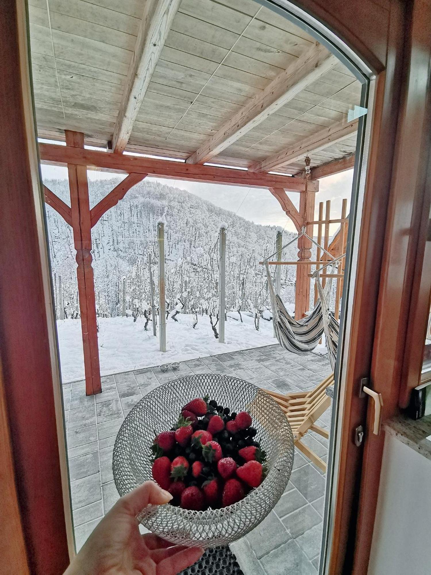 Vineyard Cottage Matej Trebnje ภายนอก รูปภาพ